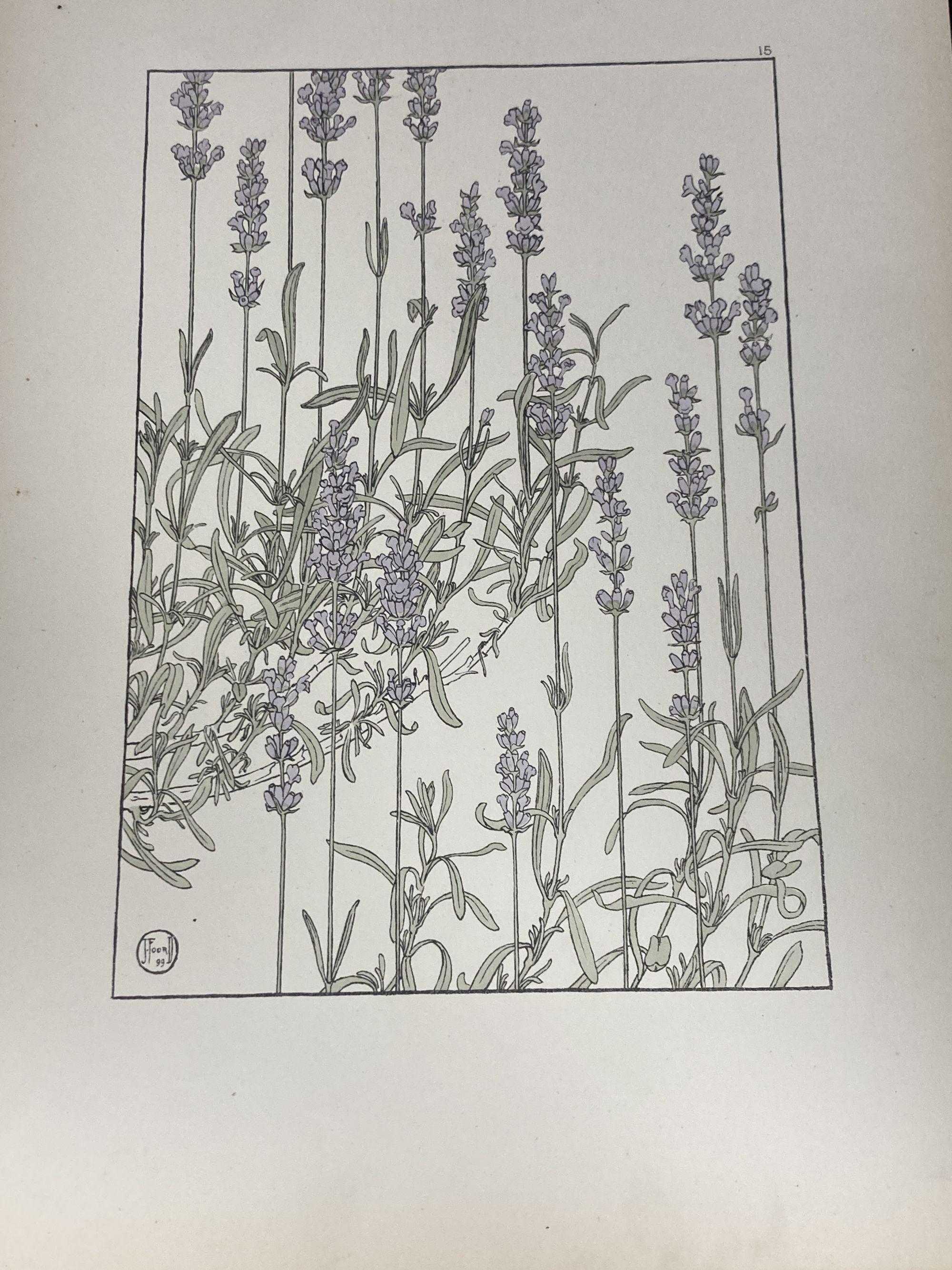 J. Foord, decorative flower studies, 1st edition